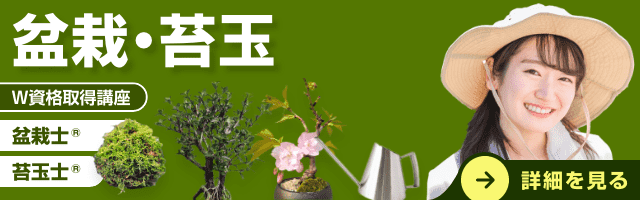 盆栽・苔玉資格取得講座