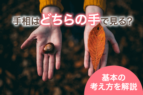 手相はどちらの手で見る?基本の考え方を解説