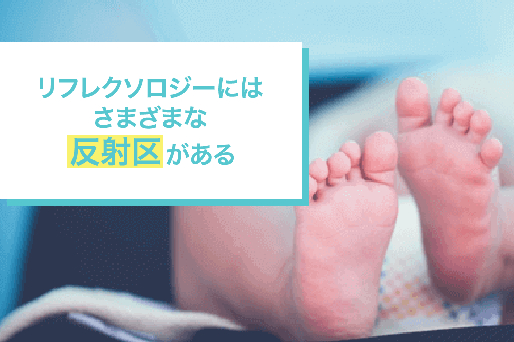 リフレクソロジーにはさまざまな反射区がある