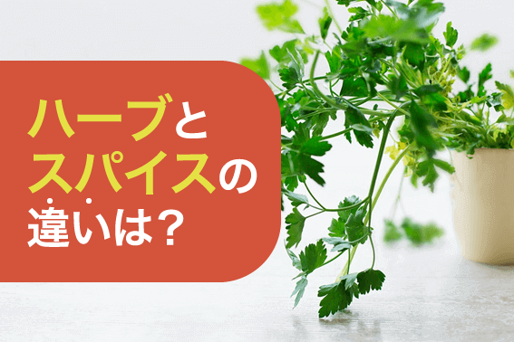 ハーブとスパイスの違いは?