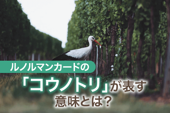 ルノルマンカードの「コウノトリ」が表す意味とは?