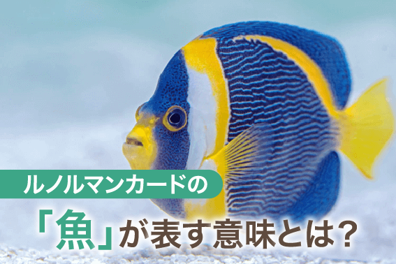 ルノルマンカードの「魚」が表す意味とは?