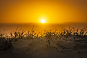 ルノルマンカードの「太陽」カードは強い力をもっている！