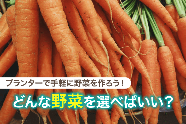 プランターで手軽に野菜を作ろう!どんな野菜を選べばいい?