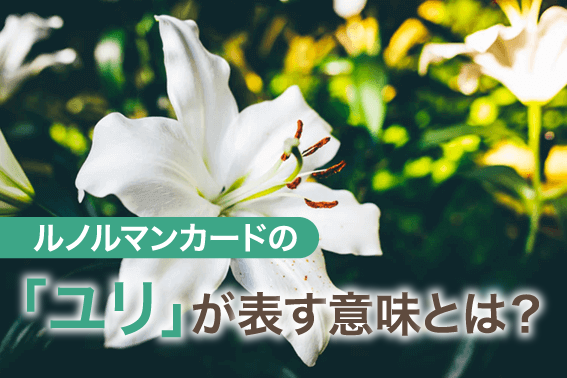 ルノルマンカードの「ユリ」が表す意味とは?