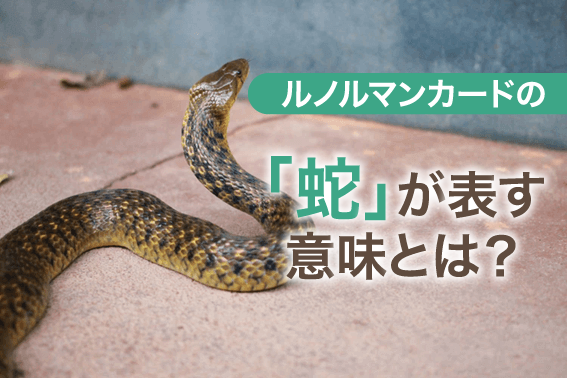 ルノルマンカードの「蛇」が表す意味とは?