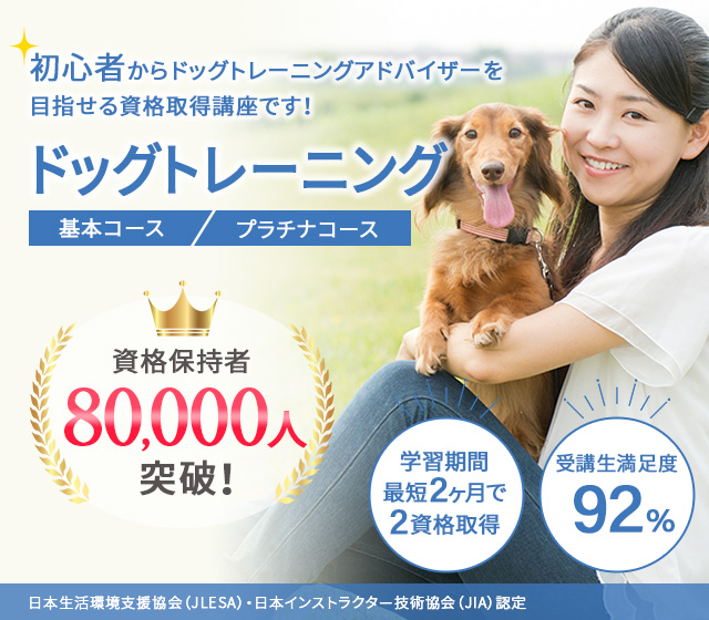 ドッグトレーニング資格取得講座