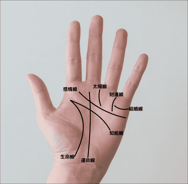 手相の7大線
