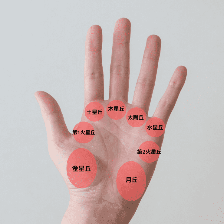 手相に不可欠な「8つの丘」とは？