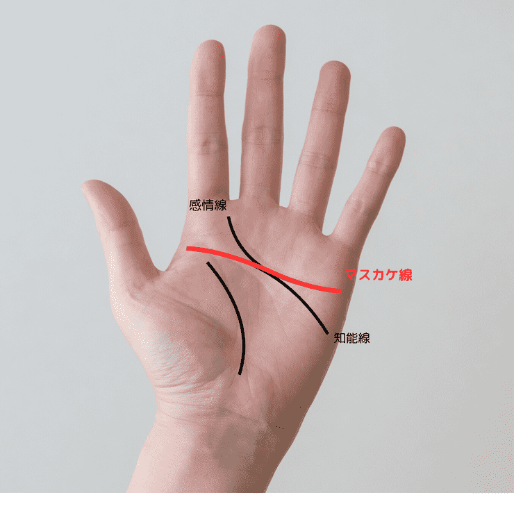 2位 マスカケ線