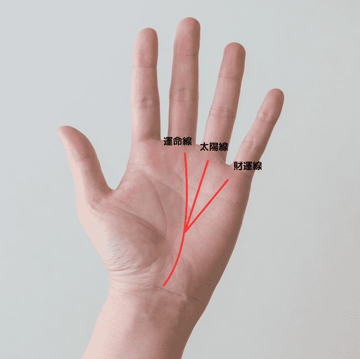 3位 覇王線（三奇紋）