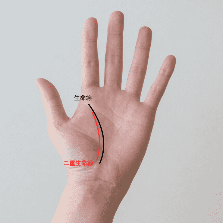 4位 二重生命線