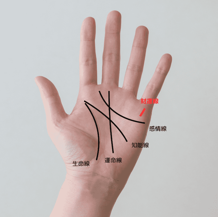 5位 うっすらでもいい！財運線