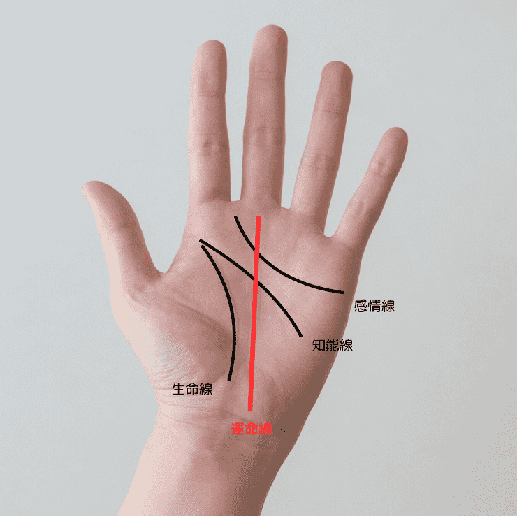 6位 はっきりとした運命線