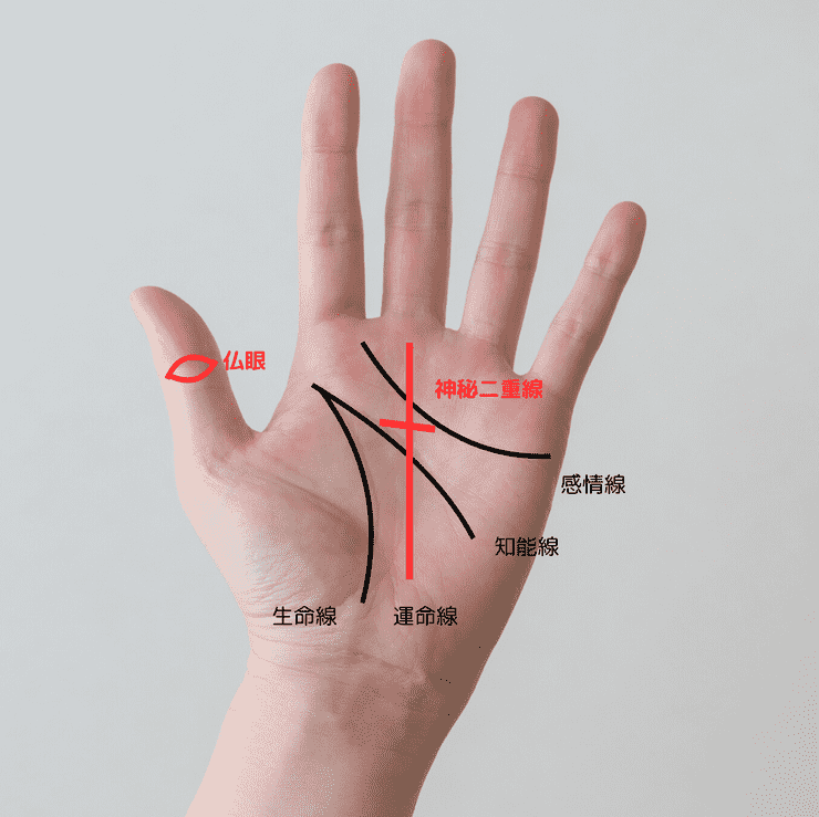 7位 仏眼と神秘十字の合わせ持ち