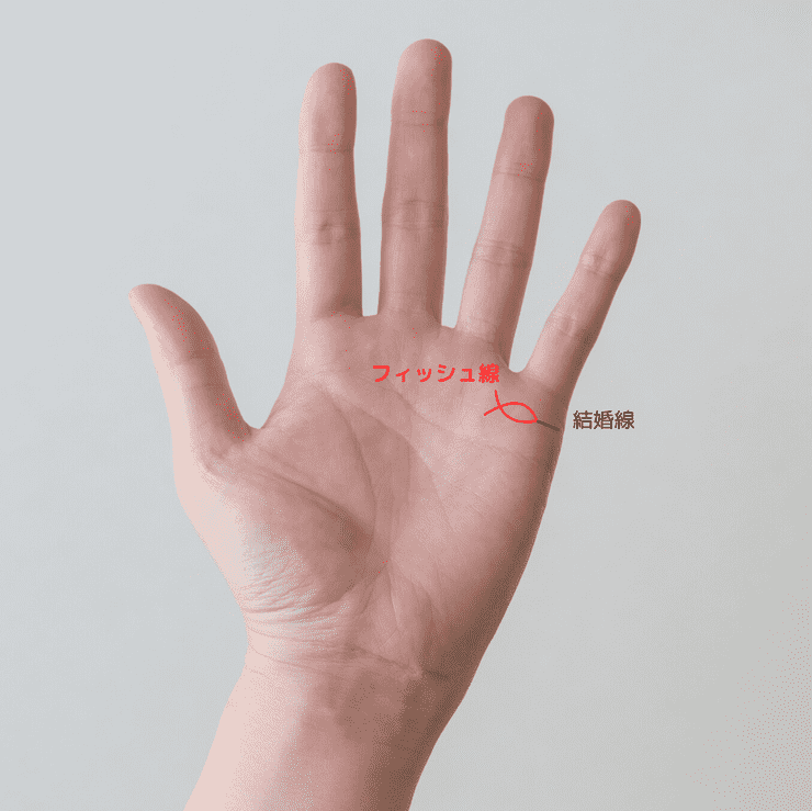 9位 女性が気になるフィッシュ線