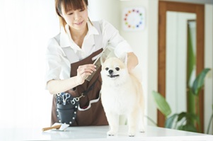 ペットトリマー資格講座