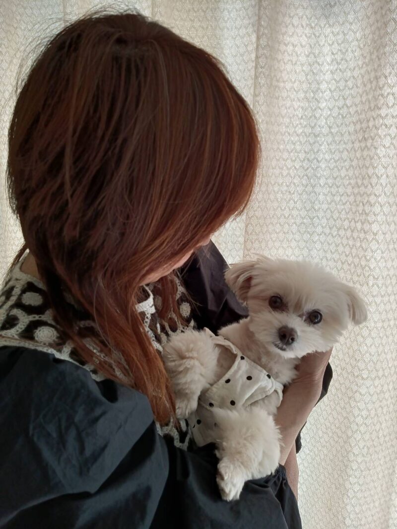 提出した課題に対してコメントしていただき、とてもやる気が出ました。