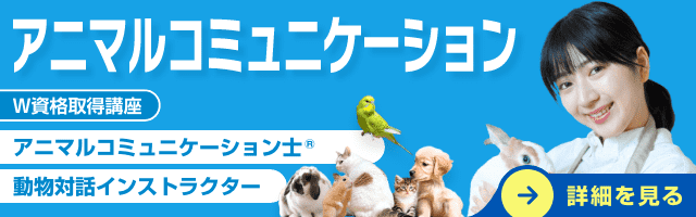 アニマルコミュニケーション資格講座