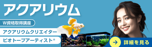 アクアリウム