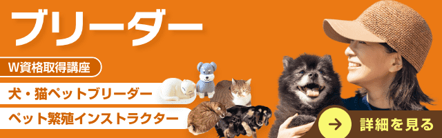 ブリーダー資格講座