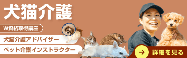 犬猫介護資格講座
