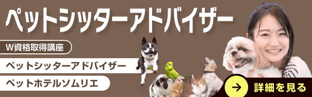 ペットシッターアドバイザー資格講座