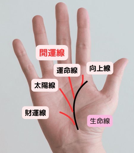 生命線から伸びる開運線の見方