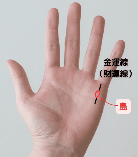 （1）貯金が危ない！？「金運線（財運線）に島」
