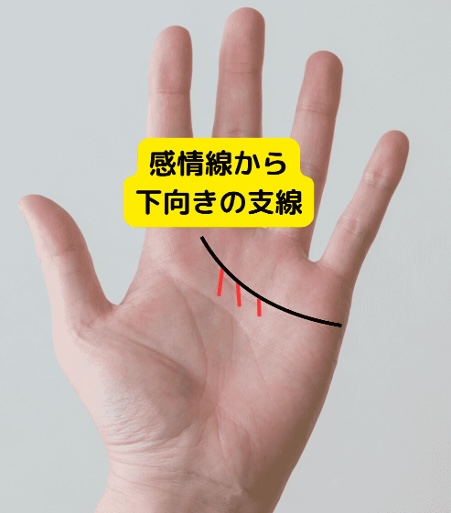 （7）恋が実らない？「感情線から下向きの支線」