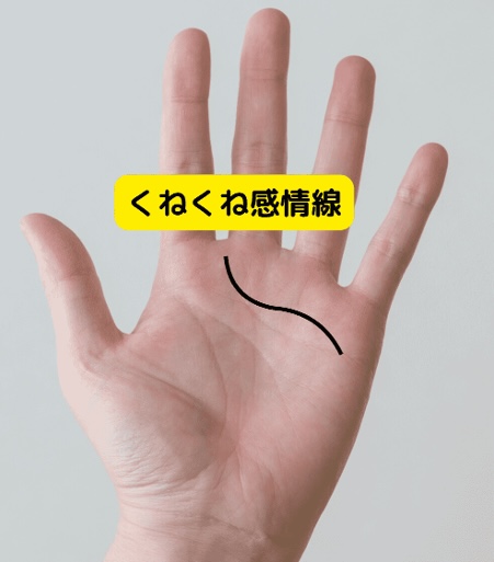 （10）浮気症？「くねくね感情線」
