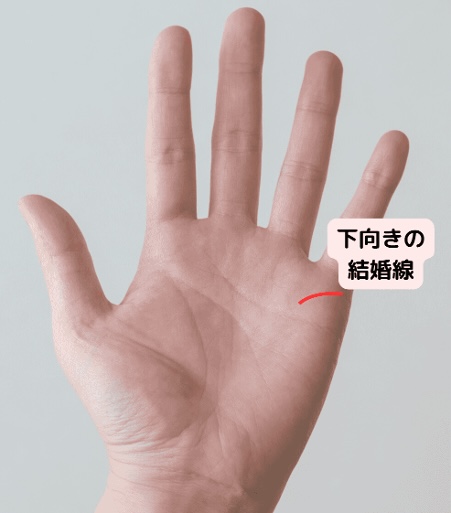 （13）臆病になりがち「結婚線が下に向かって伸びている」