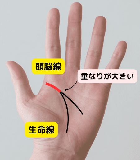 （15）慎重すぎて損する？「頭脳線と生命線の重なりが長い」