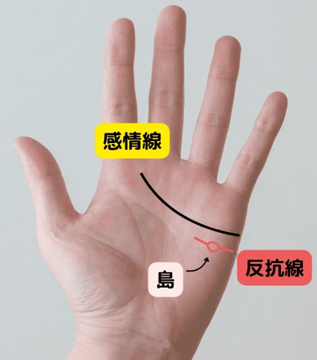 （18）頑固すぎて嫌われる！「反抗線に島」