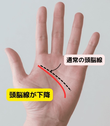 （21）ストレスに注意！「頭脳線（知能線）が下降している」