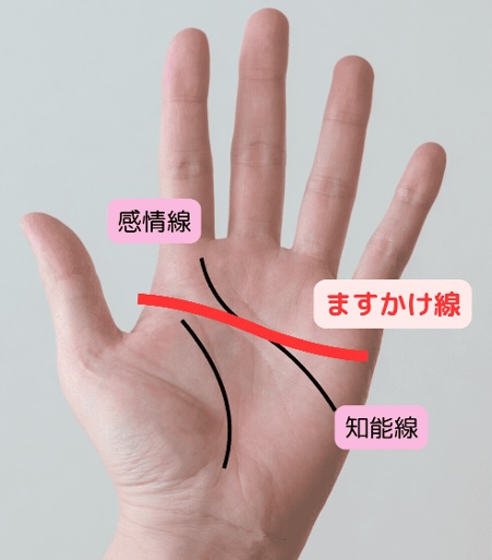 （3）波乱万丈でも必ず成功！？強運のますかけ線