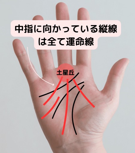 運命線はどこにある？