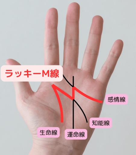 バランス型！総合力最強の「ラッキーM線」