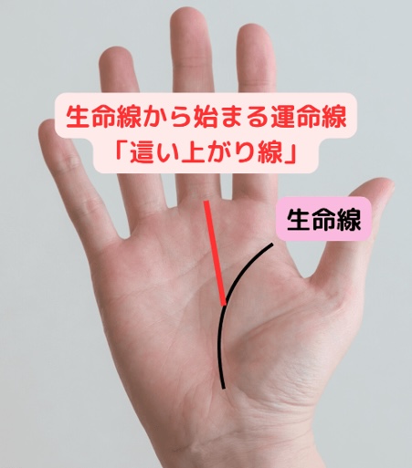 生命線から始まる運命線「這い上がり線」