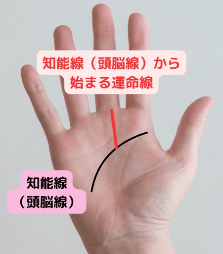知能線（頭脳線）から始まる運命線「頭脳明晰な手相」