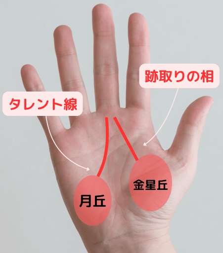 金星丘から始まる運命線「跡取りの相」