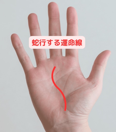 くねくね蛇行する運命線