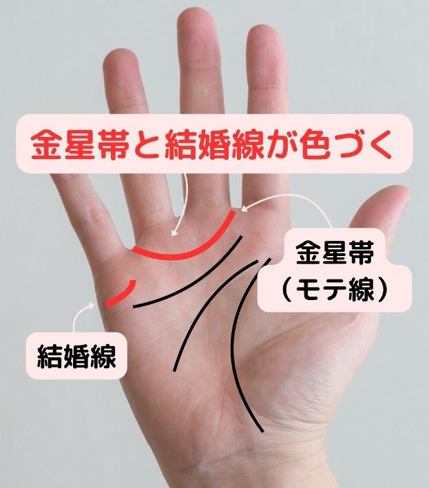 5位 モテ線！金星帯と結婚線が色づく時