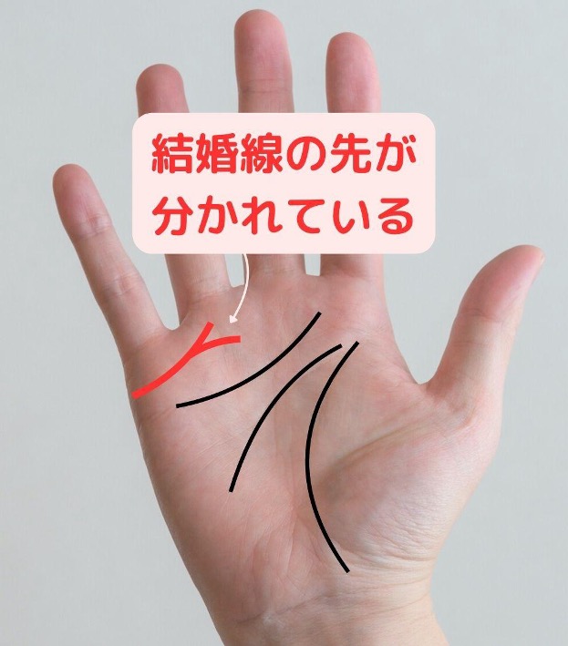 結婚線の先が分かれている