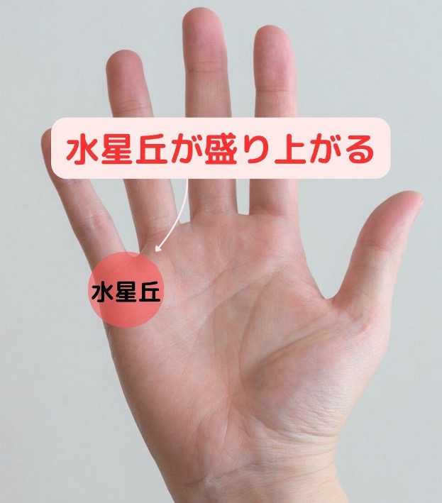 水星丘が盛り上がる