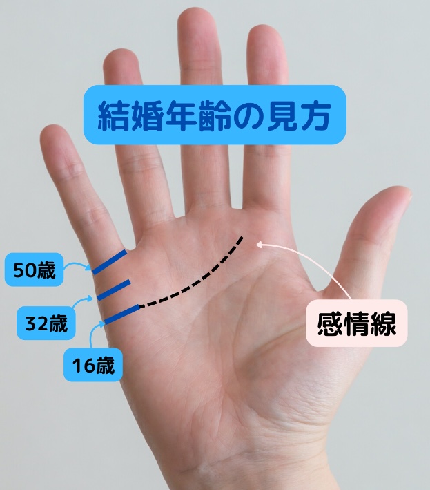 結婚年齢の見方