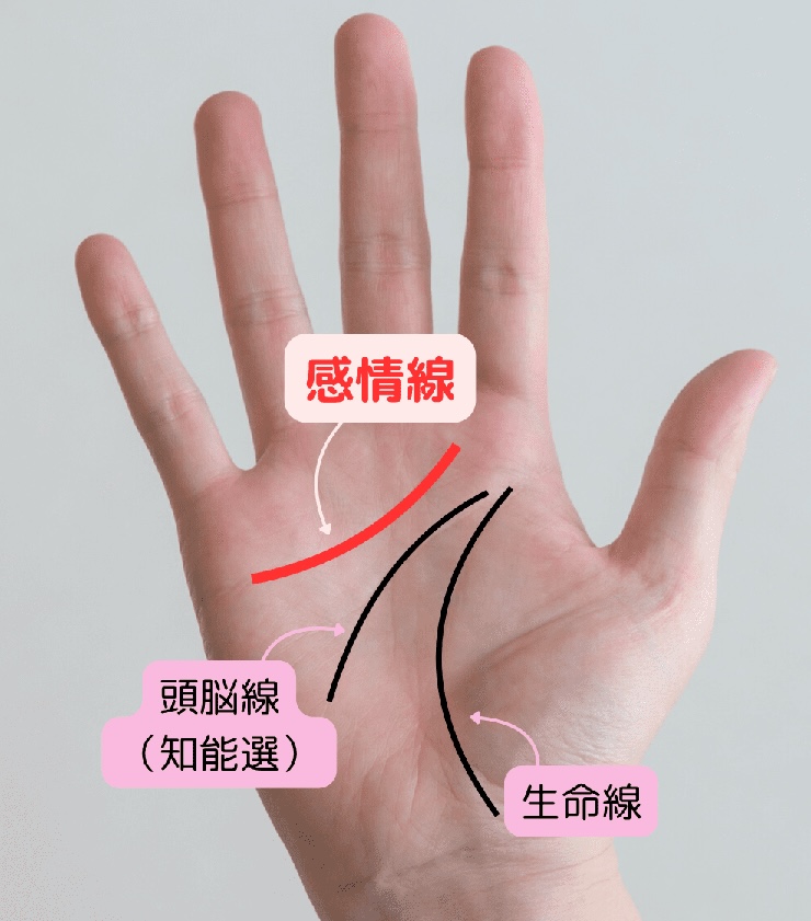 感情線とは？