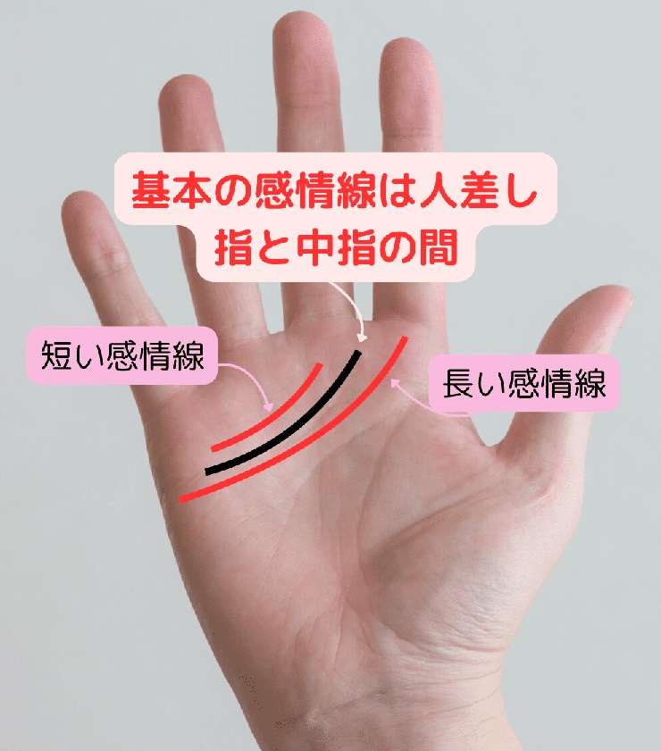 感情線の見方