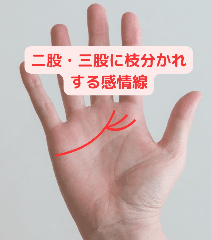 3位 枝分かれする感情線