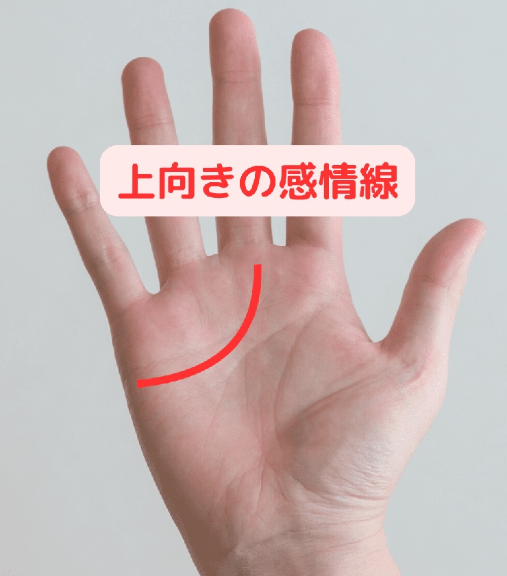 5位 上向きの感情線